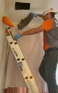 Removing Smelly Raccoon